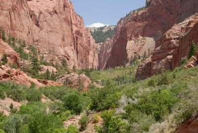Zion NP0596.jpg