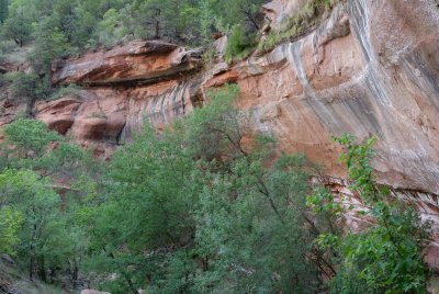 Zion NP0613.jpg