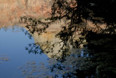 Zion NP0624.jpg