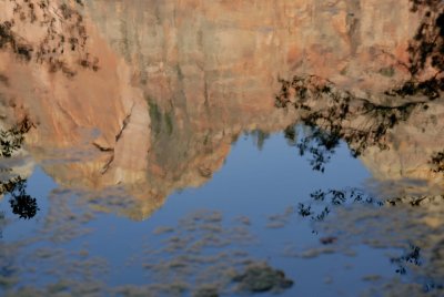 Zion NP0626.jpg