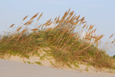 South Padre Island 8-20-2007 0075.jpg