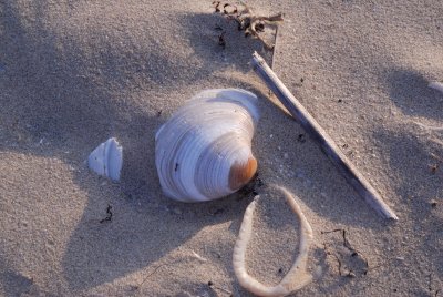 South Padre Island 8-20-2007 0087.jpg