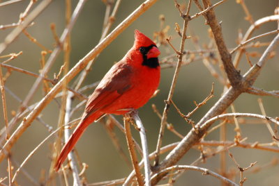 DSC_0145.JPG