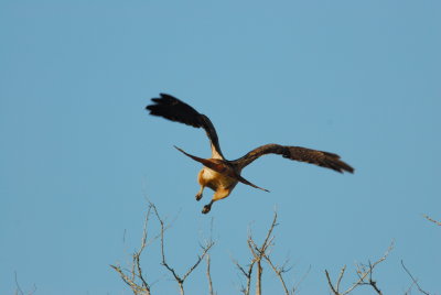 DSC_0002.JPG