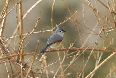 DSC_0024.JPG