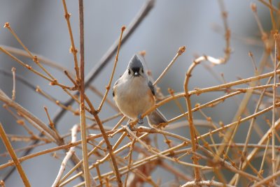 DSC_0356.JPG