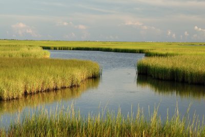 Brazoria NWR 8-26-07 0174.jpg