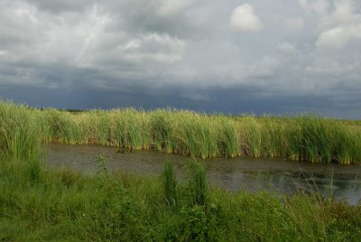 San Bernard NWR 9-3-07 0002.jpg