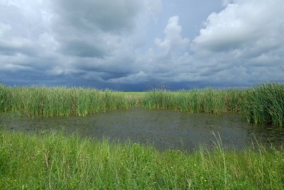 San Bernard NWR 9-3-07 0015.jpg