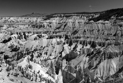 Cedar Breaks NM0084_1_BW.jpg