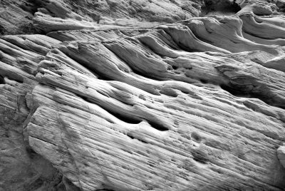 Zion NP0097_05_B&W.jpg