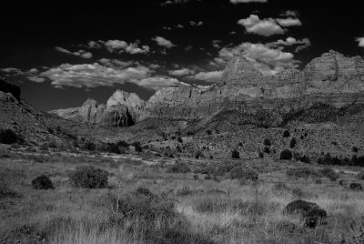Zion NP0139_09_B&W.jpg