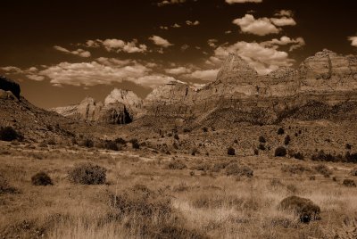 Zion NP0139_09_Sepia.jpg