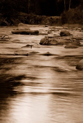 Zion NP0152_10_Sepia.jpg