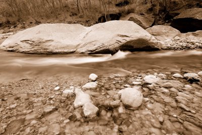 Zion NP0229_16_Sepia.jpg