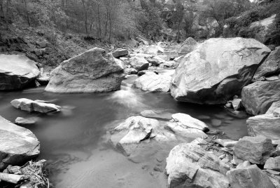 Zion NP0232_17_B&W.jpg