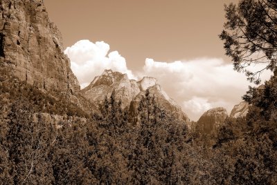 Zion NP0259_18_Sepia.jpg