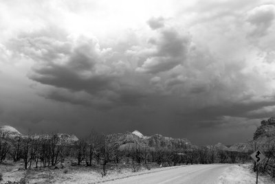 Zion NP0266_19_B&W.jpg