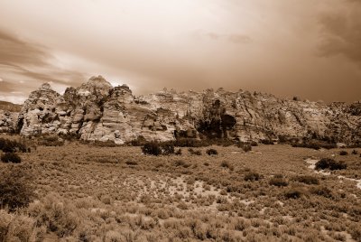 Zion NP0269_20_Sepia.jpg