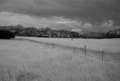 Zion NP0303_22_B&W.jpg
