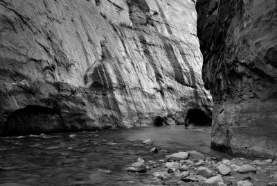 Zion NP0368_27_B&W.jpg