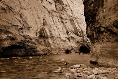 Zion NP0368_27_Sepia.jpg