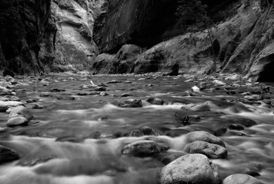 Zion NP0377_28_B&W.jpg