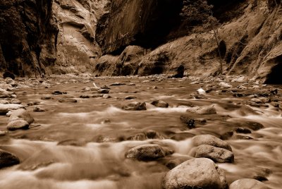 Zion NP0377_28_Sepia.jpg