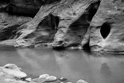Zion NP0378_29_B&W.jpg