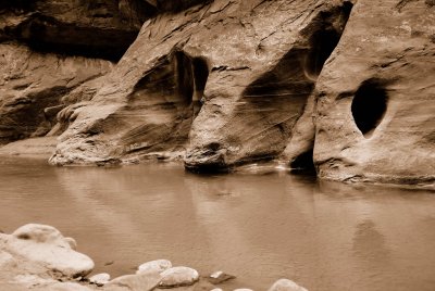 Zion NP0378_29_Sepia.jpg