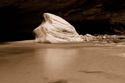 Zion NP0387_30_Sepia.jpg