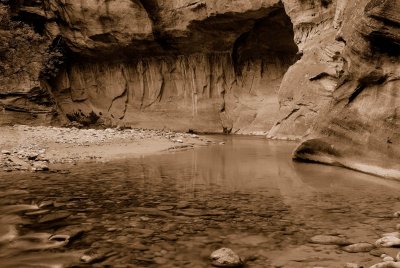 Zion NP0390_31_Sepia.jpg