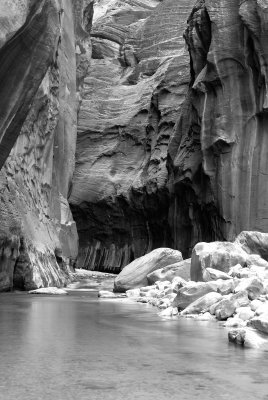 Zion NP0398_33_B&W.jpg