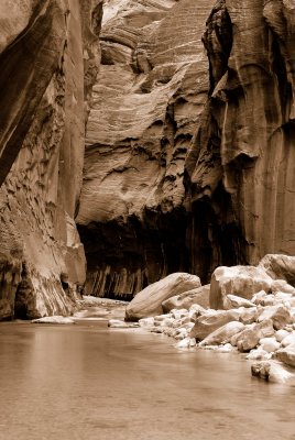 Zion NP0398_33_Sepia.jpg