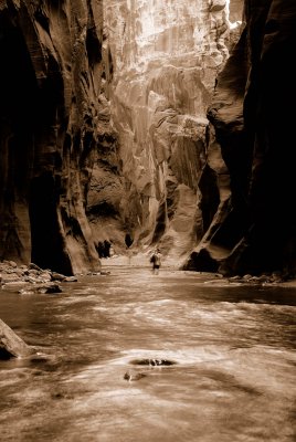 Zion NP0402_35_Sepia.jpg