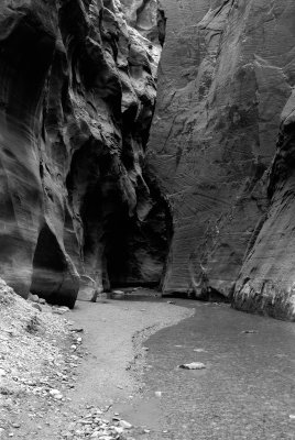 Zion NP0404_36_B&W.jpg