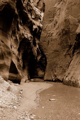 Zion NP0404_36_Sepia.jpg