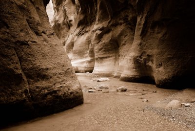 Zion NP0412_37_Sepia.jpg
