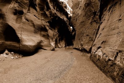 Zion NP0413_38_Sepia.jpg
