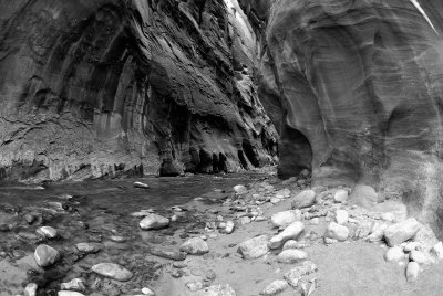 Zion NP0415_39_B&W.jpg