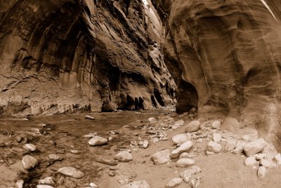 Zion NP0415_39_Sepia.jpg
