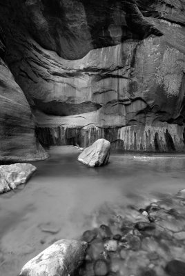 Zion NP0421_40_B&W.jpg
