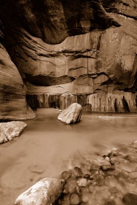 Zion NP0421_40_Sepia.jpg