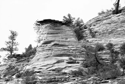 Zion NP0429_42_B&W.jpg