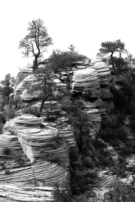 Zion NP0431_43_B&W.jpg