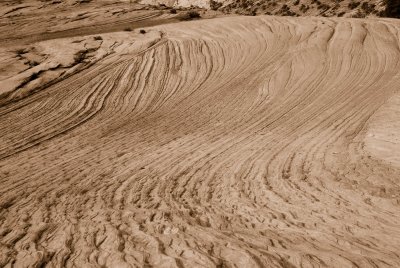 Zion NP0445_44_Sepia.jpg
