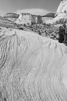 Zion NP0448_45_B&W.jpg