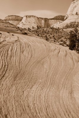 Zion NP0448_45_Sepia.jpg