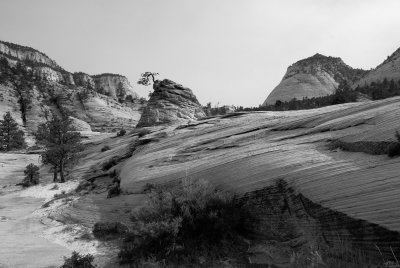 Zion NP0453_47_B&W.jpg