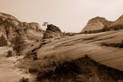 Zion NP0453_47_Sepia.jpg